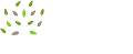 Olive Grove Guesthouse logo
